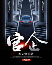 官企合作成功案例分析
