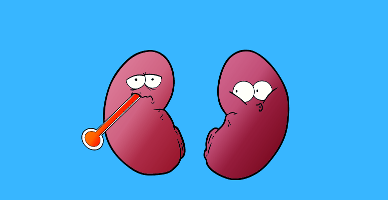 Two Kidneys